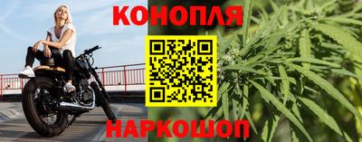 гидра Малоярославец