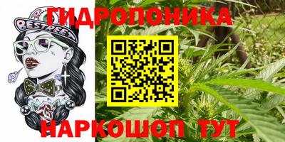 spice Мариинск