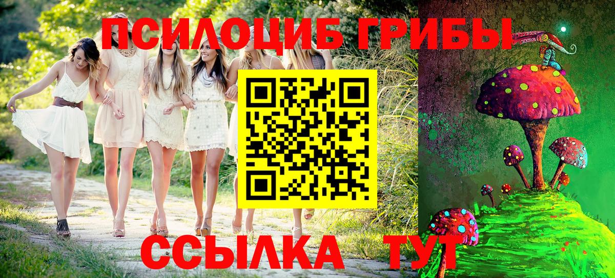 Галлюциногенные грибы мухоморы Дмитров